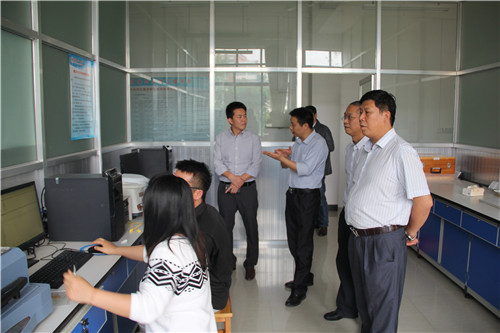 PC加拿大28