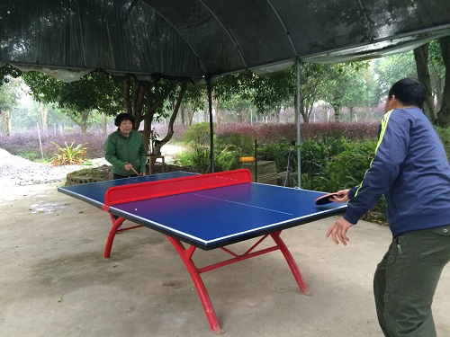PC加拿大28